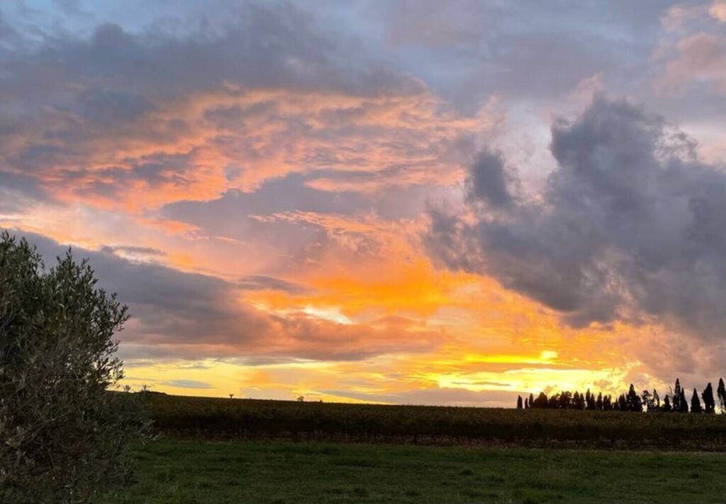 location salle événement Gard